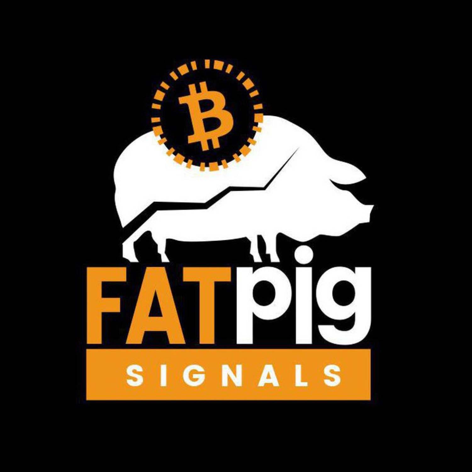 Chanel - Fat Pig Signals